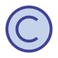 No-one-can-copy-your-product-icon (1)